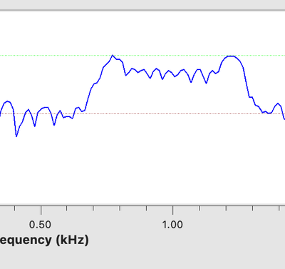 Zentriertes Spektrum nach dem Frequency-Xlating-FIR-Filter